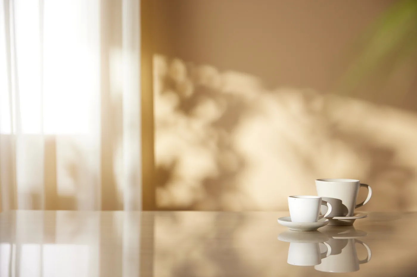 Heller Raum mit Fensterlicht, Blattschatten an der Wand und zwei Tassen auf dem Tisch